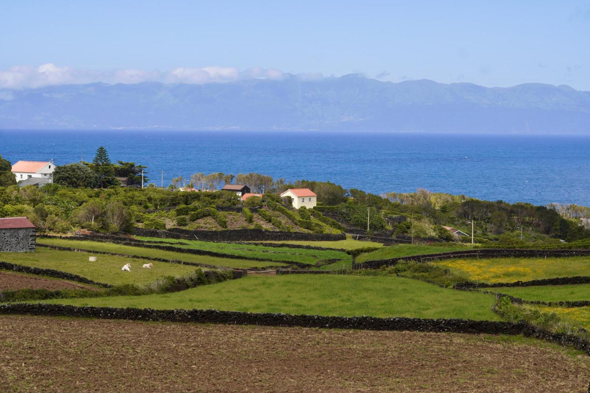 Casas Da Prainha A Villa Bagian luar foto